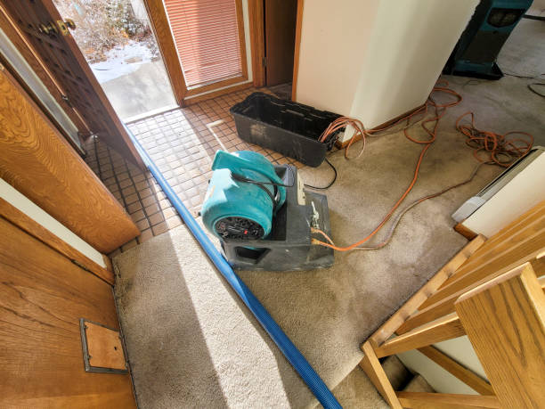 Best Sewage cleanup and water damage restoration  in Sacred Heart University, CT