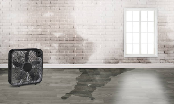 Best Water damage restoration process  in Sacred Heart University, CT