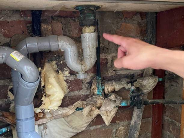 Best Water damage restoration near me  in Sacred Heart University, CT