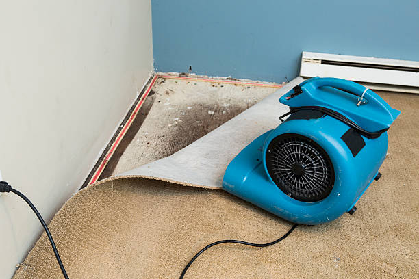 Best Water damage restoration specialists  in Sacred Heart University, CT